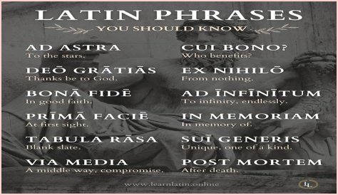 A Profile Of A Latin Beauty