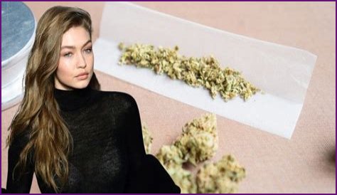 Gigi Hadid Mugshot: Is Gigi Hadid Arrested For Cocaine Or Cannabis?